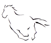 Cavallo gives to Liberated Horsemanship 