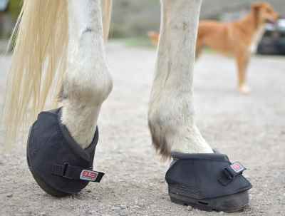 Cavallo Sport Regular Sole Hoof Boots 