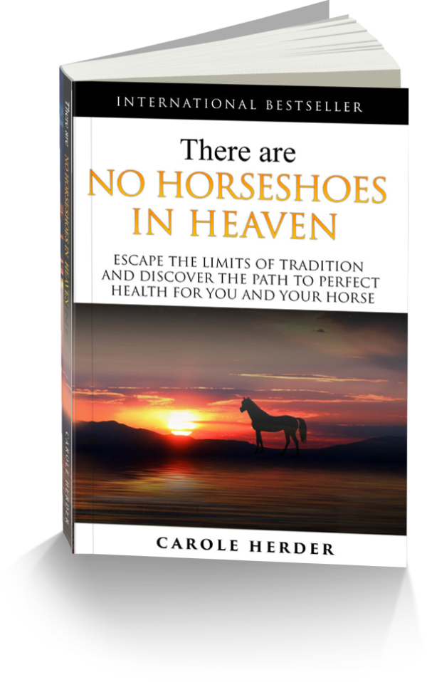 There are No Horseshoes in Heaven