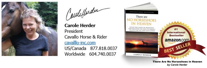Image of Cavallo President, Carole Herder with her best selling book "There are No Horseshoes in Heaven".