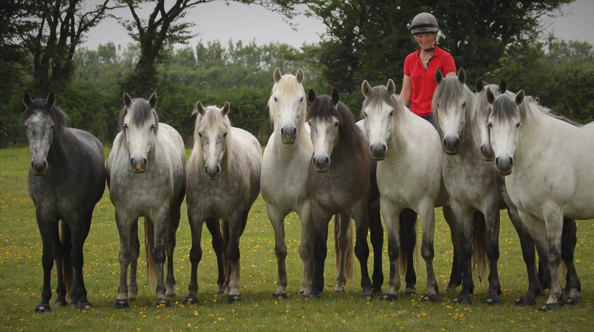 Image of Emma Massingale and her Liberty ponies standing together wearing Cavallo Trek Boots 