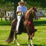 Image of Jody Childs on her horse.