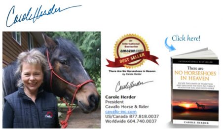 Carole Herder Cavallo Book "There are no horseshoes in Heaven" on Amazon.com