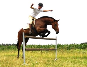 Cavallo Hoof Boots are great for Jumping