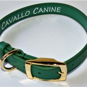 Cavallo Canine Leather Collar – Kelly Green