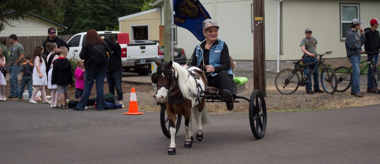 Louise Nyquist and ticket the mini horse driving with Cavallo CLB Hoof Boots