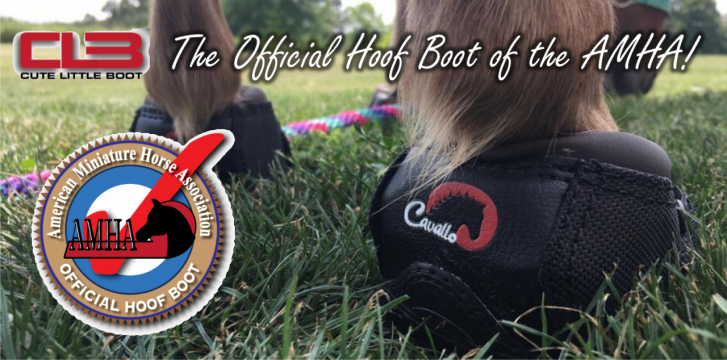 CLB is Now the Official Hoof Boot of the American Miniature Horse Association