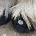 Connie Challice - Feathers and Cavallo BFB Hoof Boots