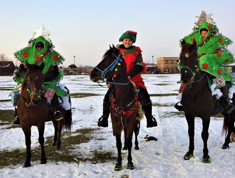 Cavallo Trek Green Hoof Boots Christmas Parade