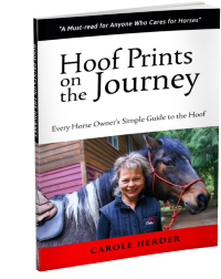 Hoof Prints on the Journey book by Carole Herder