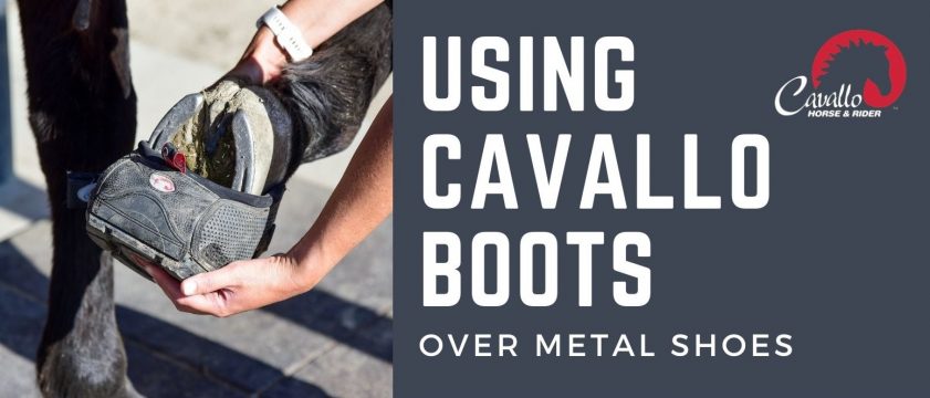 Cavallo – The Top Choice for Boots Over Metal Shoes