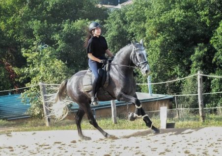 dressage horse cantering in hoof boots