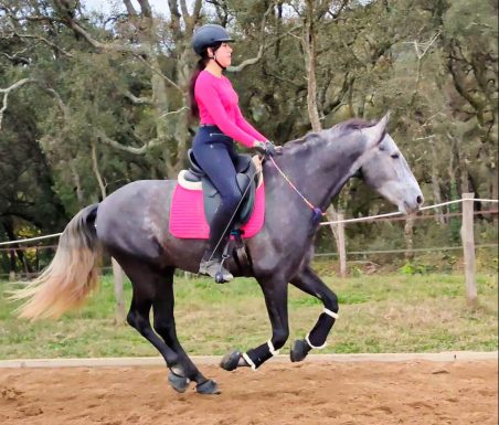 bridleless, barefoot and booted dressage horse