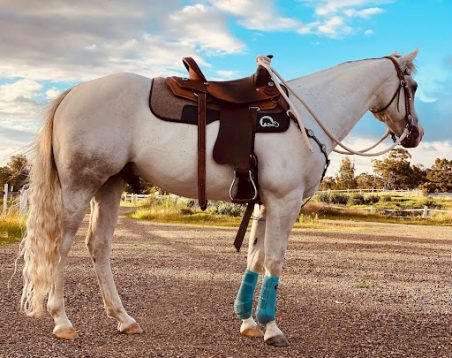 Cavallo Hoof Boots Saddle pad Testimonial Review