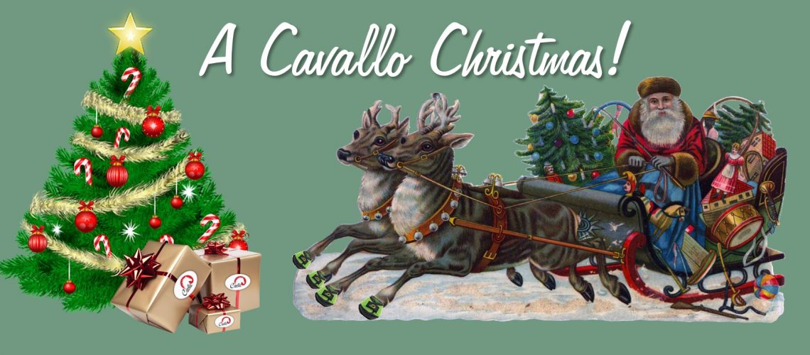 Christmas at Cavallo Horse Hoof Boots