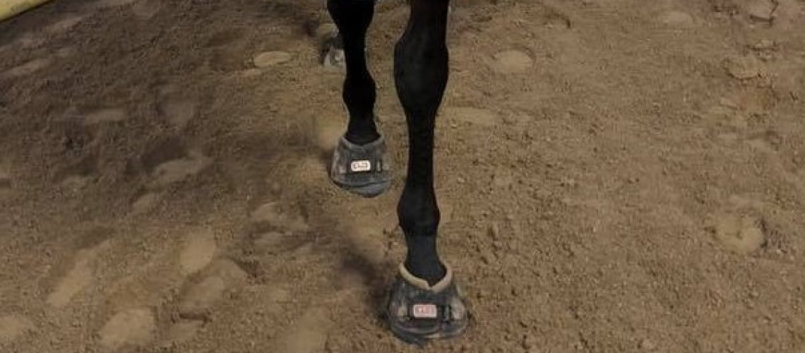 Missy Maggi - Facebook testimonial Cavallo ELB Horse Hoof Boots...